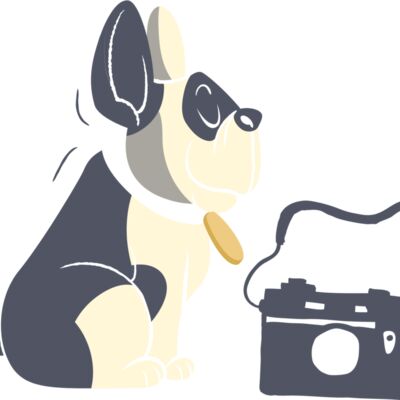 Dog Camera Thumbnail